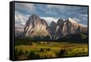 Canvas Black