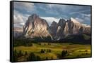 Canvas Black