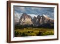 Brown Frame