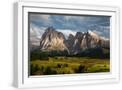 White Frame