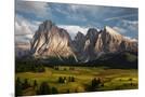 Wood Mount
