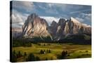 Stretched Canvas