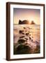 Brown Frame