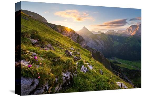 Stretched Canvas Print, , large