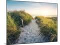 Wood Mount