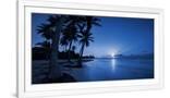 Gramercy White