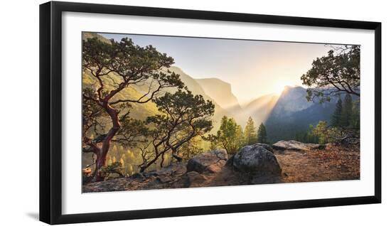 Premium Photographic Print, , large