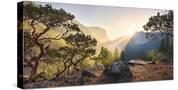 Stretched Canvas