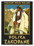 Pologne Polen Poland - Polska Zakopane (Poland resort town of Zakopane)-Stefan Norblin-Mounted Art Print