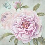 Rose Shimmer-Stefania Ferri-Art Print