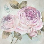 Rose Shimmer-Stefania Ferri-Art Print