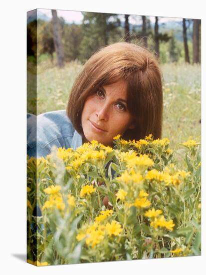 Stefanie Powers-null-Stretched Canvas