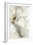 White Frame