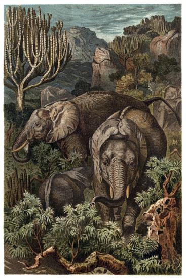 Premium Giclee Print, , large