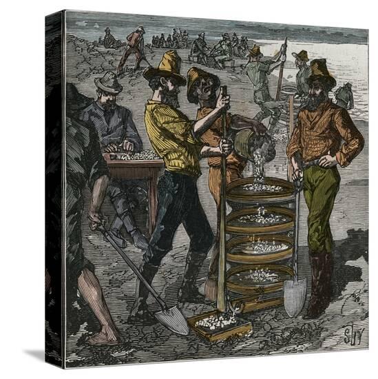 Stretched Canvas Print, , large