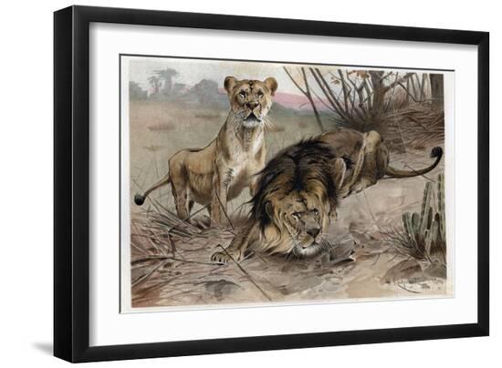 Giclee Print, , large