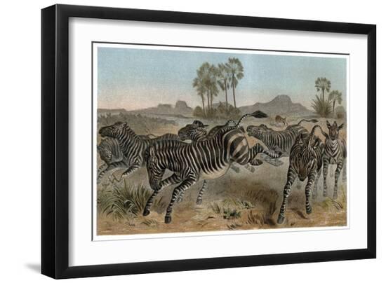 Premium Giclee Print, , large
