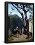 Essential Black