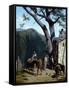Canvas Black