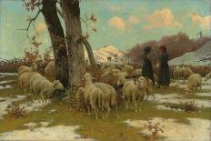 Sheep Drinking from Restano River-Stefano Bruzzi-Giclee Print