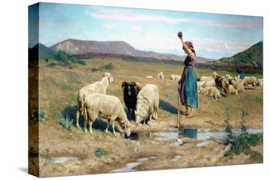 Stretched Canvas Print, , large