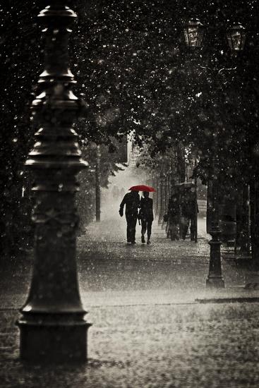 Premium Photographic Print, , large