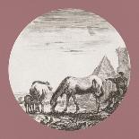 Paysage avec un Chapiteau Corinthien-Stefano della Bella-Framed Art Print