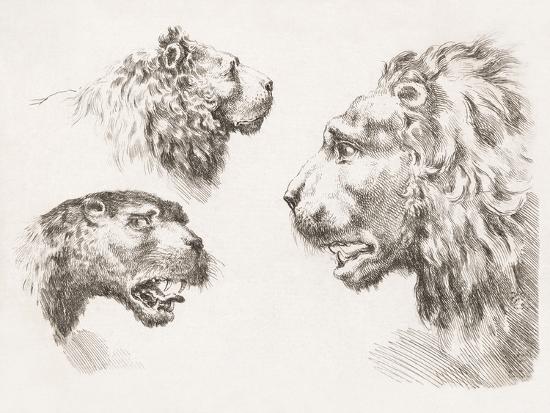 Art Print, , large