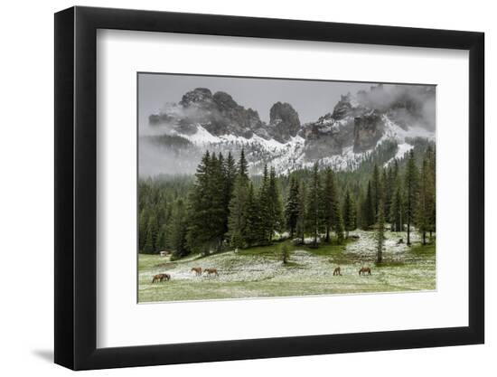 Premium Photographic Print, , large