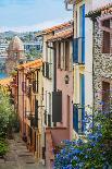 Old Town Street, Collioure, Languedoc-Roussillon, France-Stefano Politi Markovina-Photographic Print