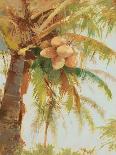 Tropic Palm-Stefano-Art Print