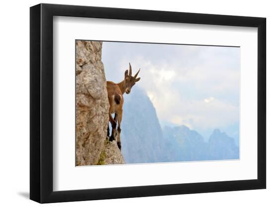 Premium Photographic Print, , large