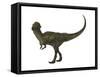 Stegoceras Was a Herbivorous Dinosaur That Lived During the Cretaceous Period-null-Framed Stretched Canvas