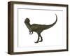 Stegoceras Was a Herbivorous Dinosaur That Lived During the Cretaceous Period-null-Framed Art Print