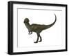 Stegoceras Was a Herbivorous Dinosaur That Lived During the Cretaceous Period-null-Framed Art Print