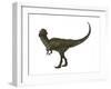 Stegoceras Was a Herbivorous Dinosaur That Lived During the Cretaceous Period-null-Framed Art Print