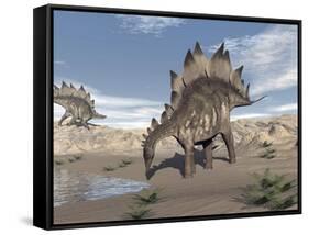 Stegosaurus Dinosaur Drinking Water in the Desert-null-Framed Stretched Canvas