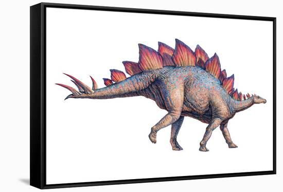 Stegosaurus Dinosaur-Joe Tucciarone-Framed Stretched Canvas