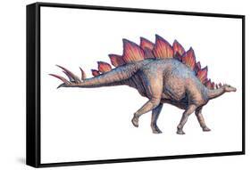 Stegosaurus Dinosaur-Joe Tucciarone-Framed Stretched Canvas