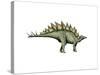 Stegosaurus Dinosaur-null-Stretched Canvas