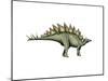 Stegosaurus Dinosaur-null-Mounted Art Print
