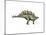 Stegosaurus Dinosaur-null-Mounted Art Print