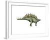 Stegosaurus Dinosaur-null-Framed Art Print