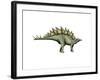 Stegosaurus Dinosaur-null-Framed Art Print