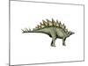 Stegosaurus Dinosaur-null-Mounted Art Print