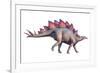 Stegosaurus Dinosaur-Joe Tucciarone-Framed Photographic Print