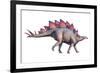 Stegosaurus Dinosaur-Joe Tucciarone-Framed Photographic Print