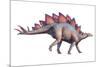 Stegosaurus Dinosaur-Joe Tucciarone-Mounted Photographic Print