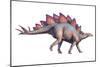 Stegosaurus Dinosaur-Joe Tucciarone-Mounted Photographic Print