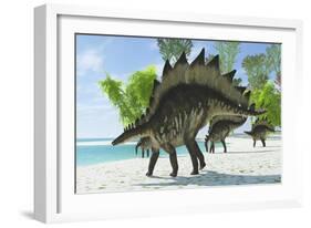 Stegosaurus Dinosaurs Drinking from a Jurassic Lake-null-Framed Art Print